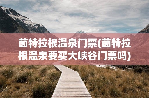 茵特拉根温泉门票(茵特拉根温泉要买大峡谷门票吗)