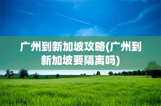 广州到新加坡攻略(广州到新加坡要隔离吗)