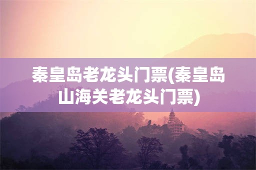 秦皇岛老龙头门票(秦皇岛山海关老龙头门票)