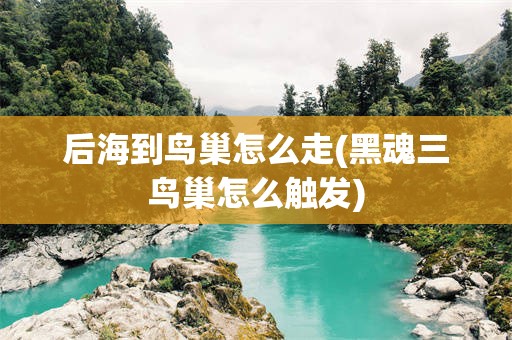 后海到鸟巢怎么走(黑魂三鸟巢怎么触发)
