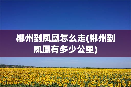 郴州到凤凰怎么走(郴州到凤凰有多少公里)