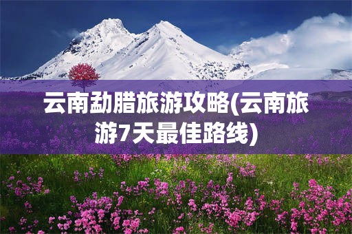 云南勐腊旅游攻略(云南旅游7天最佳路线)