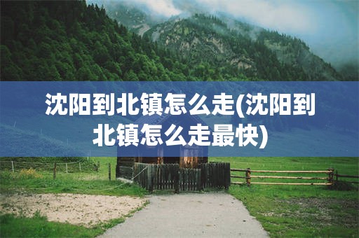 沈阳到北镇怎么走(沈阳到北镇怎么走最快)