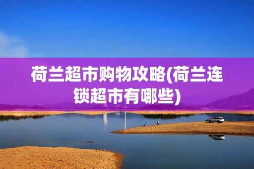 荷兰超市购物攻略(荷兰连锁超市有哪些)