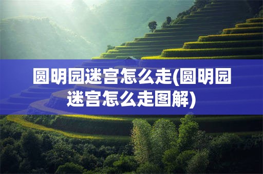 圆明园迷宫怎么走(圆明园迷宫怎么走图解)