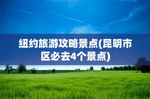 纽约旅游攻略景点(昆明市区必去4个景点)