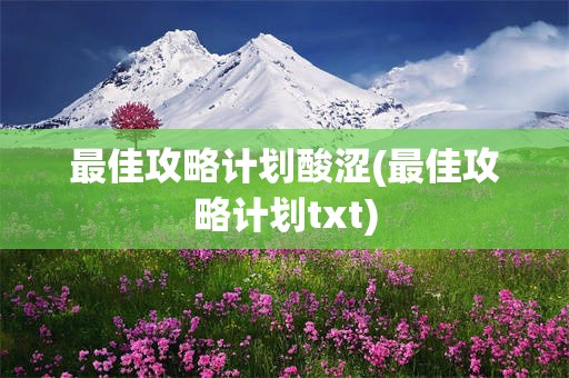 最佳攻略计划酸涩(最佳攻略计划txt)