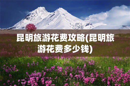 昆明旅游花费攻略(昆明旅游花费多少钱)