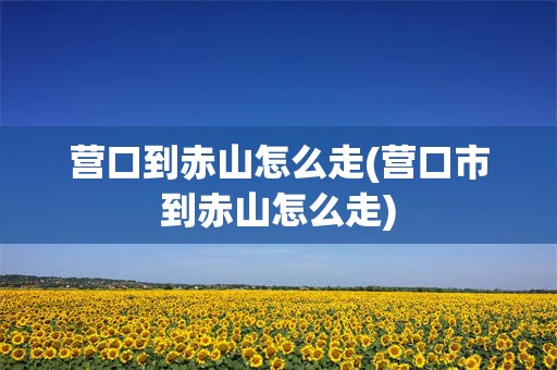 营口到赤山怎么走(营口市到赤山怎么走)