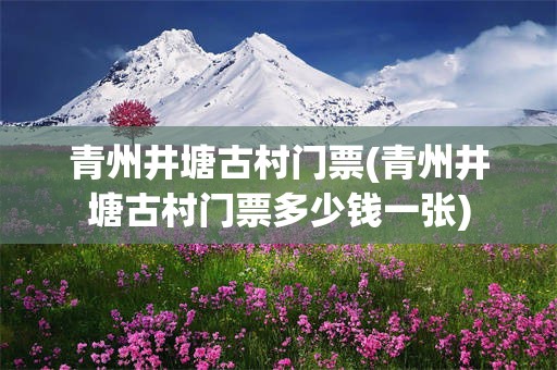 青州井塘古村门票(青州井塘古村门票多少钱一张)