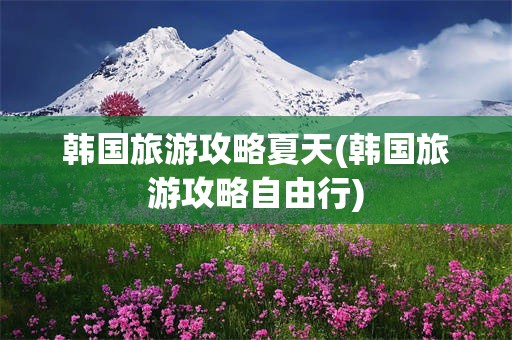 韩国旅游攻略夏天(韩国旅游攻略自由行)