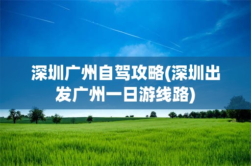 深圳广州自驾攻略(深圳出发广州一日游线路)