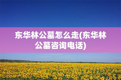 东华林公墓怎么走(东华林公墓咨询电话)