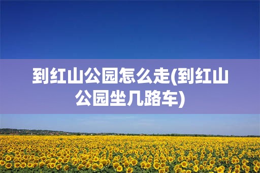 到红山公园怎么走(到红山公园坐几路车)