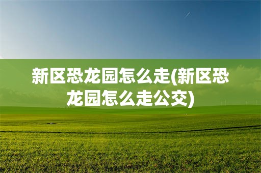 新区恐龙园怎么走(新区恐龙园怎么走公交)
