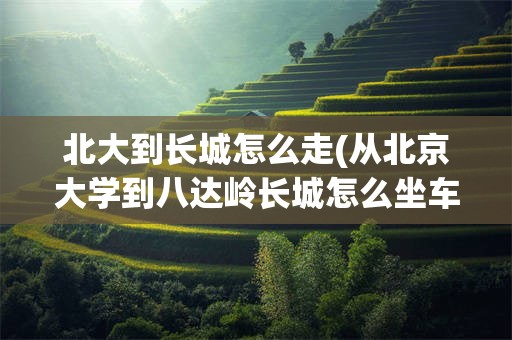 北大到长城怎么走(从北京大学到八达岭长城怎么坐车)