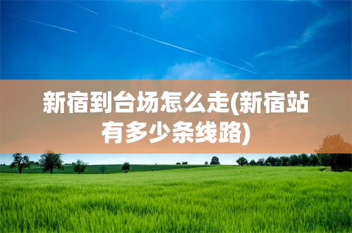 新宿到台场怎么走(新宿站有多少条线路)