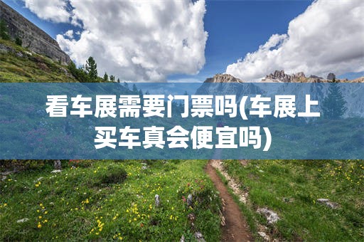 看车展需要门票吗(车展上买车真会便宜吗)