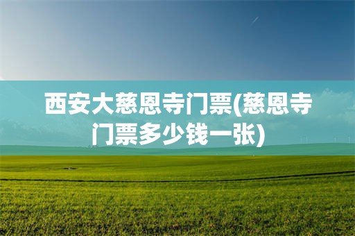 西安大慈恩寺门票(慈恩寺门票多少钱一张)