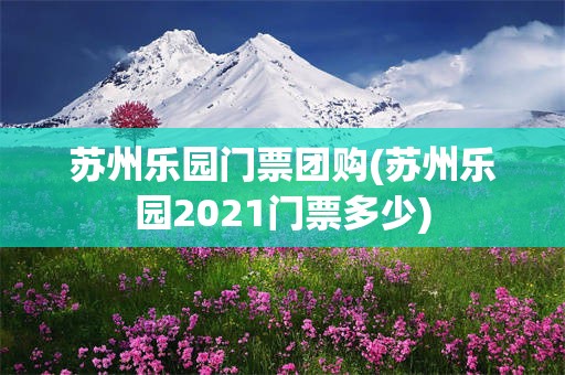 苏州乐园门票团购(苏州乐园2021门票多少)