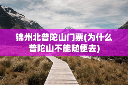 锦州北普陀山门票(为什么普陀山不能随便去)
