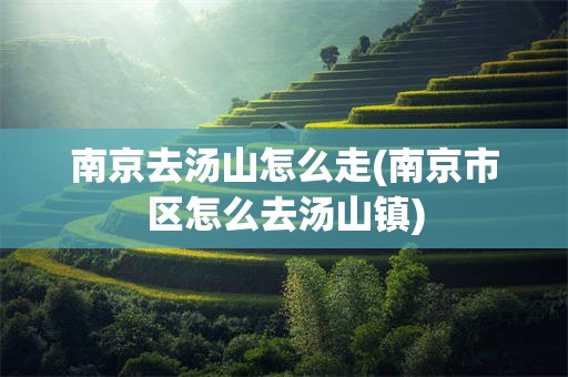 南京去汤山怎么走(南京市区怎么去汤山镇)