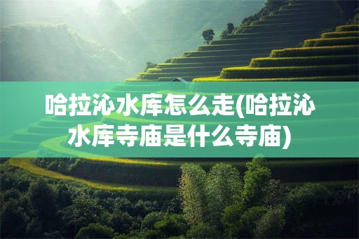 哈拉沁水库怎么走(哈拉沁水库寺庙是什么寺庙)