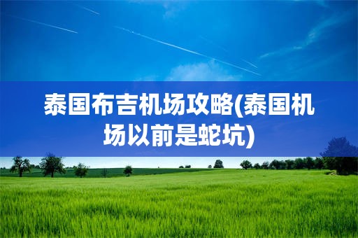 泰国布吉机场攻略(泰国机场以前是蛇坑)
