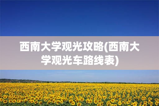 西南大学观光攻略(西南大学观光车路线表)
