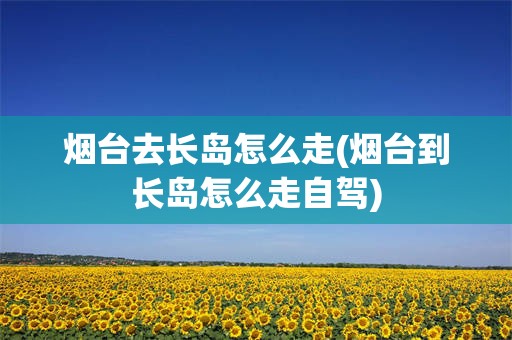 烟台去长岛怎么走(烟台到长岛怎么走自驾)