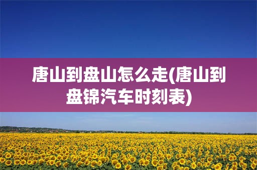 唐山到盘山怎么走(唐山到盘锦汽车时刻表)