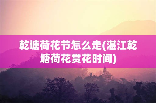 乾塘荷花节怎么走(湛江乾塘荷花赏花时间)