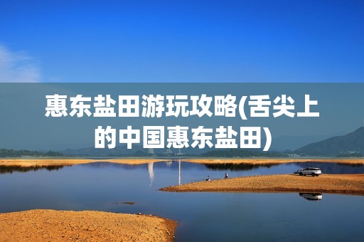 惠东盐田游玩攻略(舌尖上的中国惠东盐田)