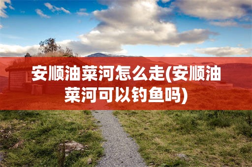 安顺油菜河怎么走(安顺油菜河可以钓鱼吗)
