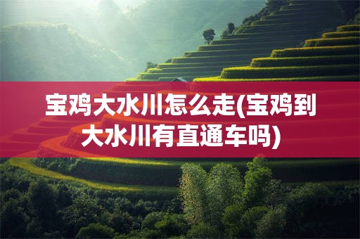 宝鸡大水川怎么走(宝鸡到大水川有直通车吗)