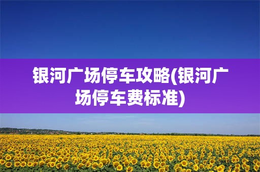 银河广场停车攻略(银河广场停车费标准)