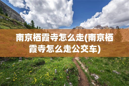 南京栖霞寺怎么走(南京栖霞寺怎么走公交车)
