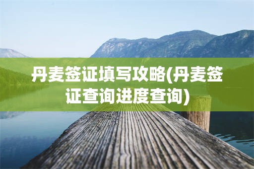 丹麦签证填写攻略(丹麦签证查询进度查询)