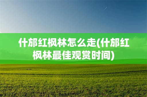 什邡红枫林怎么走(什邡红枫林最佳观赏时间)