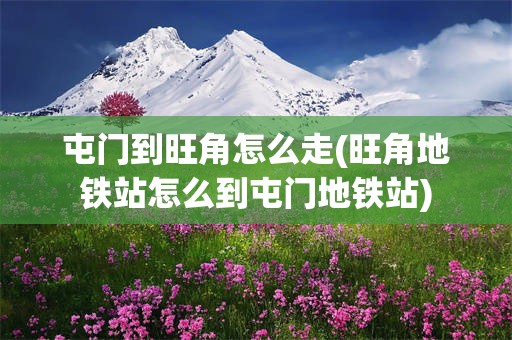 屯门到旺角怎么走(旺角地铁站怎么到屯门地铁站)