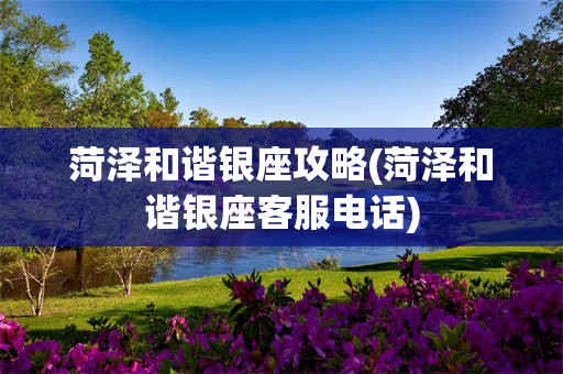 菏泽和谐银座攻略(菏泽和谐银座客服电话)