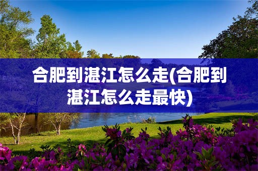 合肥到湛江怎么走(合肥到湛江怎么走最快)