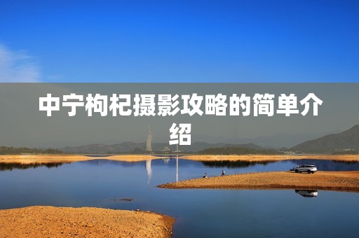 中宁枸杞摄影攻略的简单介绍