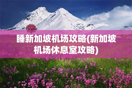 睡新加坡机场攻略(新加坡机场休息室攻略)