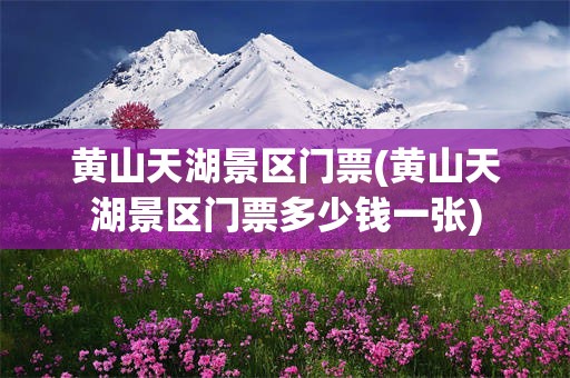 黄山天湖景区门票(黄山天湖景区门票多少钱一张)
