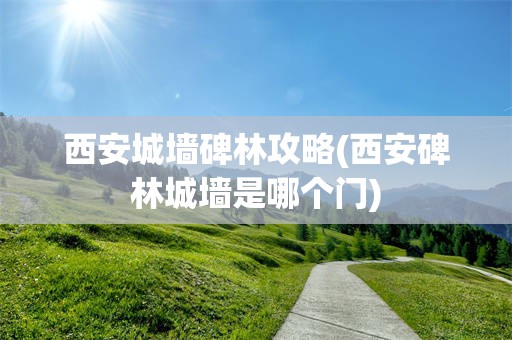 西安城墙碑林攻略(西安碑林城墙是哪个门)