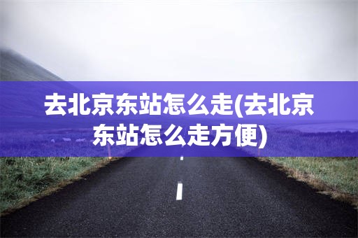 去北京东站怎么走(去北京东站怎么走方便)