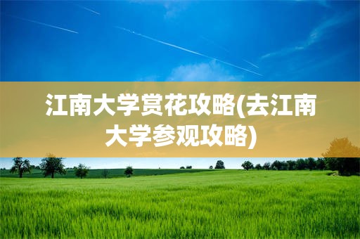 江南大学赏花攻略(去江南大学参观攻略)