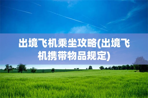 出境飞机乘坐攻略(出境飞机携带物品规定)