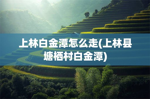 上林白金潭怎么走(上林县塘栖村白金潭)